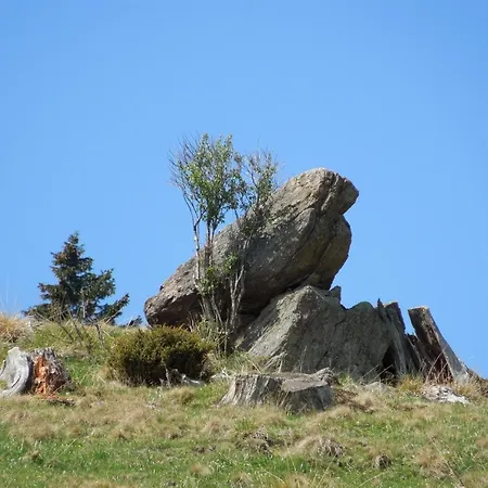 Berghuette In Sankt Andrae Bei Koralpe Ferienhaus