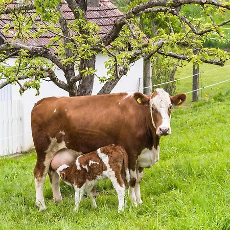 Дом отдыха Berghuette In Sankt Andrae Bei Koralpe *