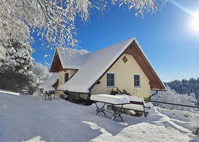 Berghuette In Sankt Andrae Bei Koralpe *
