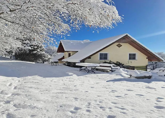 Berghuette In Sankt Andrae Bei Koralpe * Reisberg