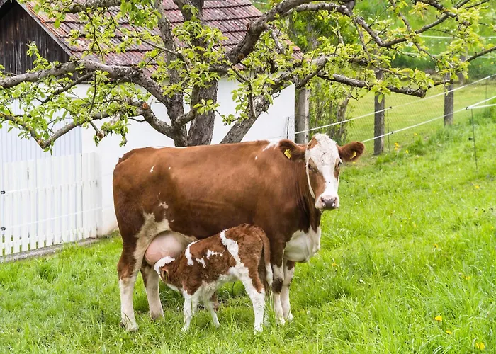בית נופש Berghuette In Sankt Andrae Bei Koralpe *